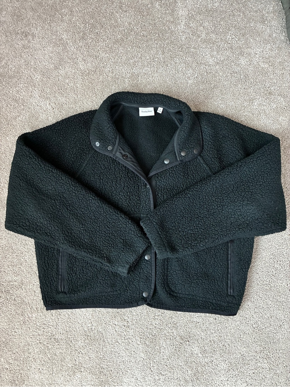 Aritzia Sunday Best Fleece Jacket